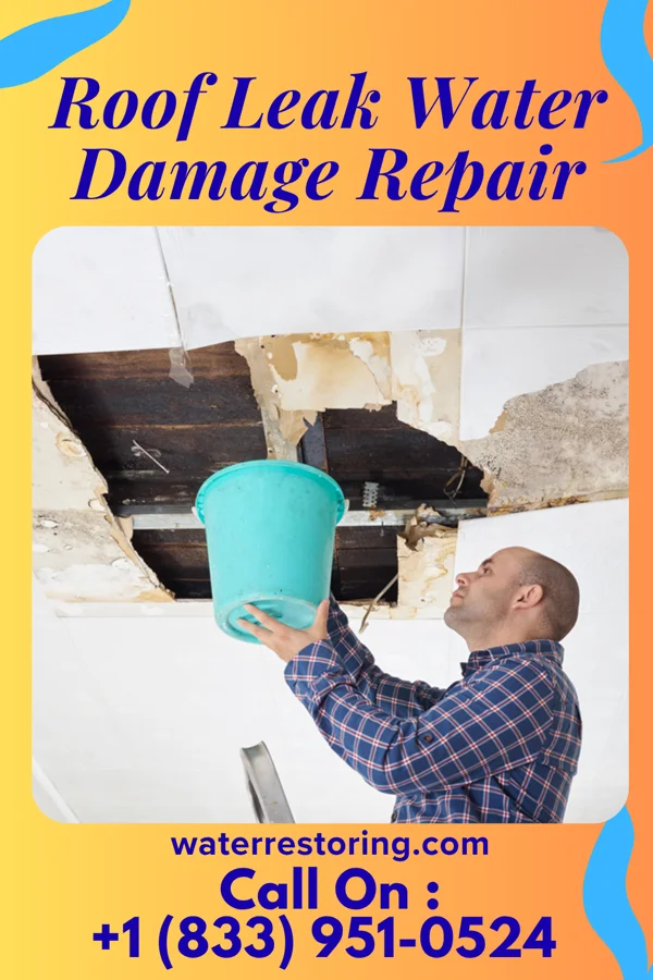 Roof Leak Water Damage Repair in Rutgers University-Livingston Campus, NJ