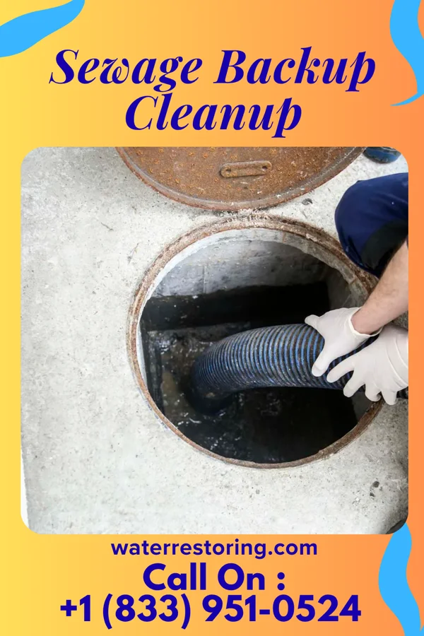 Sewage Backup Cleanup in Rutgers University-Livingston Campus, NJ